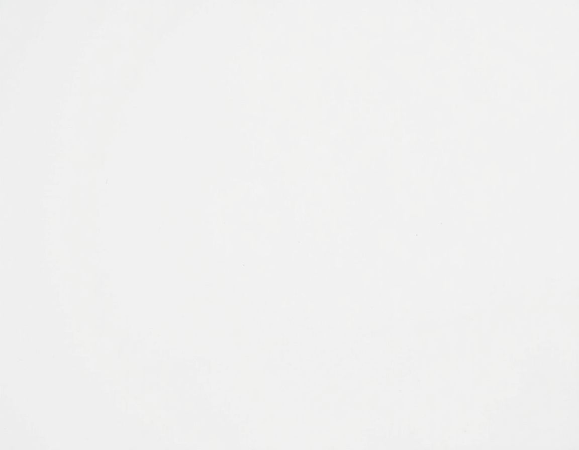 Owned source sample before White Background Product Photo Prompt